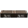 Raion Power 12V 2.3Ah Replacement AGM Battery for Biotek Instruments Index - 8 Pack