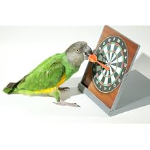 Parrot Wizard Birdie Darts Trick Training Prop