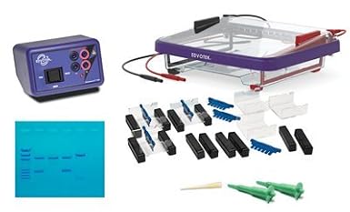 Edvotek 5062 Classroom DNA Electrophoresis LabStation