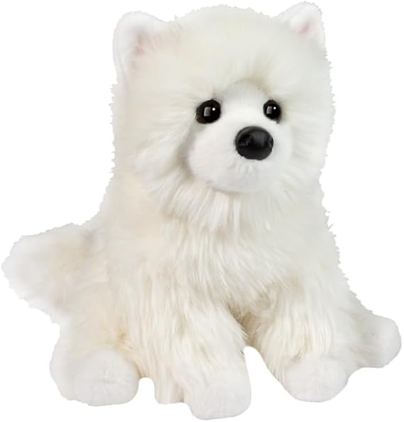 Opo White Pomeranian