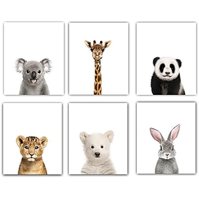 Designs by Maria Inc. Animal Posters | Baby Nursery Decor | Baby Room Pictures Art | Cute Animal Pictures | Set of 6 UNFRAMED Wall Prints | Boy & Girl Baby Room Wall Decor Animal Print 8x10