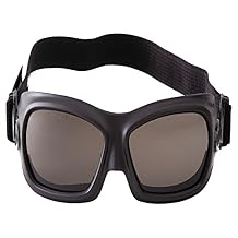 Jackson Safety 20526 V80 WILDCAT Goggles, Smoke/Black