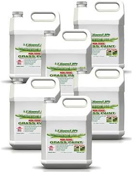 Ultra Concentrated (Green) Grass Paint 6 Gallon Case = 66 Gallons of Product Covers 24,000 sq feet