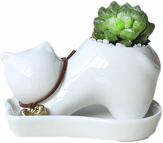 Psivika Ceramic Succulent Pot Flower Planter Pot Ceramic Plant Pot for Plants Flower Cactus Home Office Decor