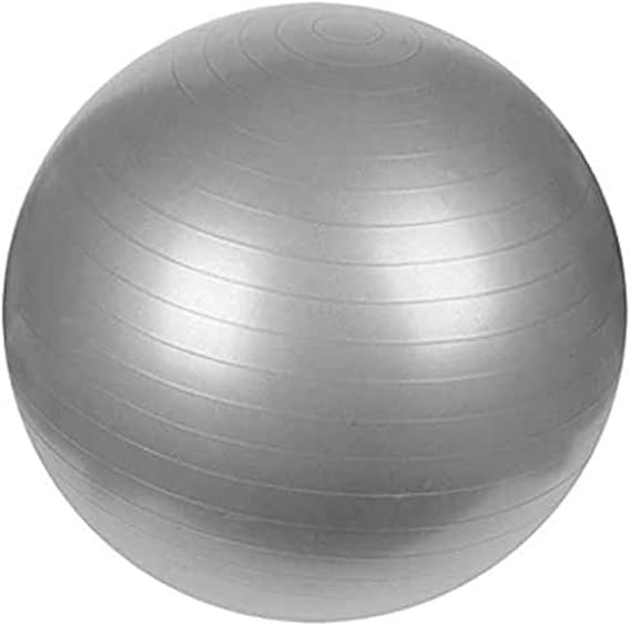 Gym Training Exercise Ball 65cm with Pump