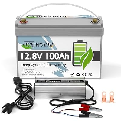 LiFePO4 Battery 12.8V 100Ah, Deep Cycle Lithium Battery Group 31 with 20A charger, 100A BMS with Low-Temp Protection, for RV, Solar System, Trolling Motors