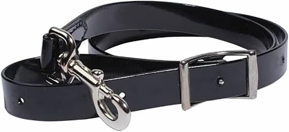 Professionals Choice 1in Biothane Tie Down Strap