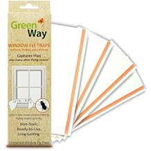 Greenway Window Fly Traps, Sticky Traps for Gnats and Flies, Non-Toxic Fly Control, Safe for Kids and Pets, Perfect for Indoor Use, 1 Pack (Includes 4 Traps)