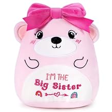 Big Sister Stuffed Animal - 9 Inches Cute Pink Bear Stuffed Animals Gifts for Girls Im The Big Sister Bear Plush Toy Gifts Adorable Plushies Gift with Pink Bow