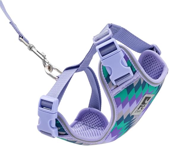 RC Pets Adventure Kitty Cat Harness | Adjustable Airmesh Vest with D-Ring and 6ft Leash for Walking and Travel | Maze, Small