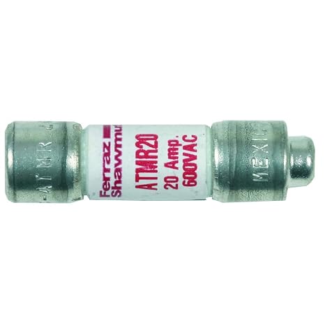TurboChef 100599 Individual Fuse, Amp 20, ATMR