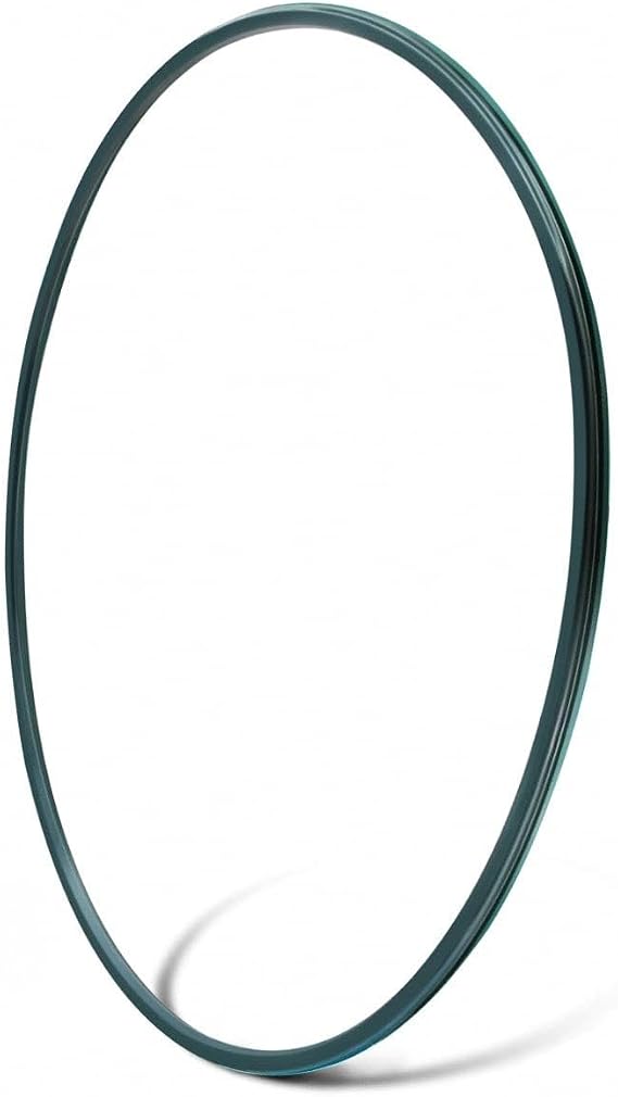 1 Pcs DEX2422Z2 Metal Reinforced Seal,Replacement for Hayward C2030 C3030 C4030 C5030 C7030 and DE2420 DE3620 DE4820 DE6020 DE7220. (1, DEX2422Z2 Metal Reinforced Seal)
