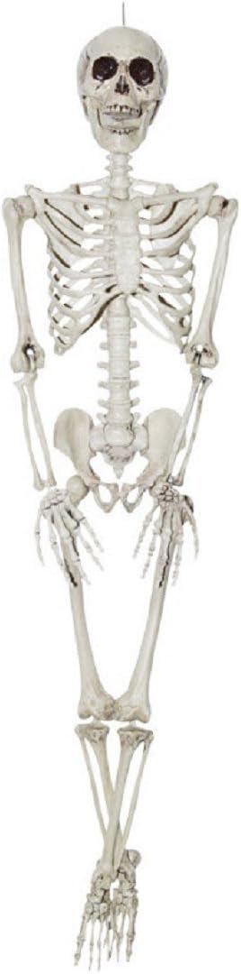 Sunstar Industries Plastic Realistic Skeleton