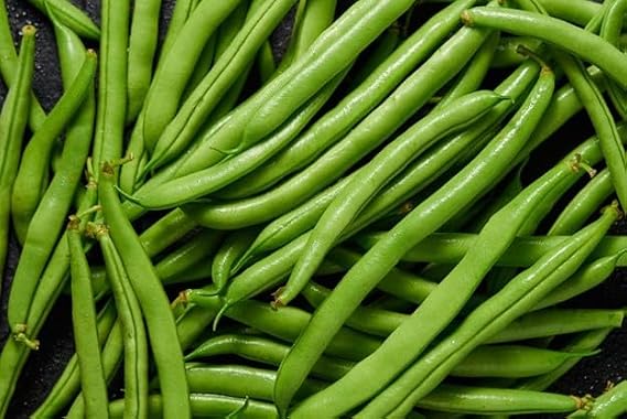 Seychelles Vining French Green Bean Haricots Verts Premium Seeds for Planting Packet
