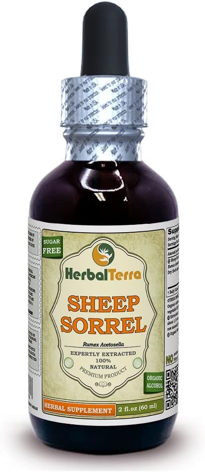 Sheep Sorrel (Rumex Acetosella) Tincture, Dried Herb Liquid Extract 2 oz