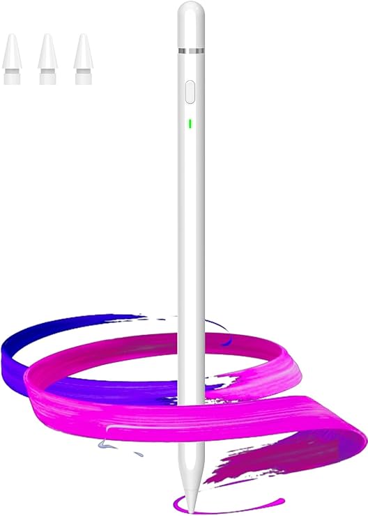 Classic iPad Stylus USB C