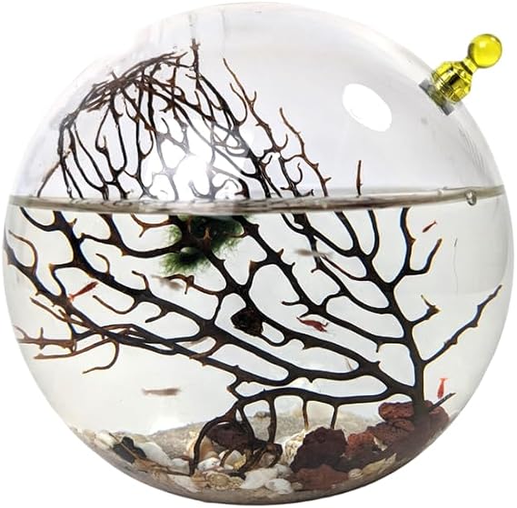 Glass Self Sustaining Shrimp Ecosphere Large