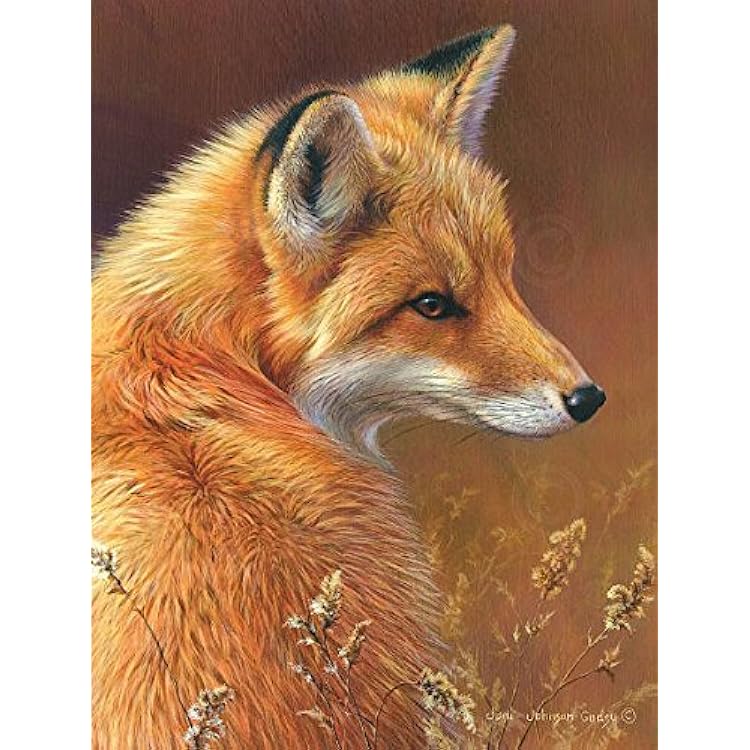 Curious Red Fox a Fine Art Print by Joni Johnson-Godsy, Image Size: 8x10, Overall Size: 11x14