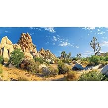 AWERT 48x24 inches Reptile Habitat Background Stone Blue Sky Oasis Cactus Sun and Desert Terrarium Background Polyester Background