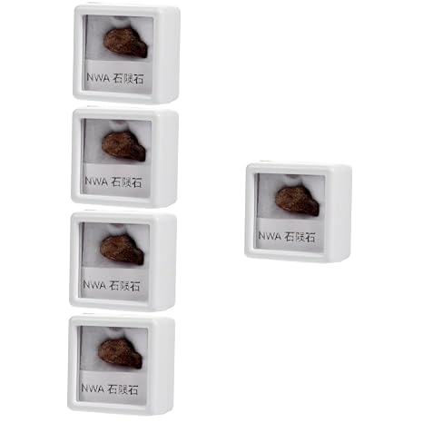 SOLUSTRE 5pcs Meteorite Specimen Stone Rock Sample for Decor Unique Meteorite Rock Specimen for Classroom Teaching and Student Learning