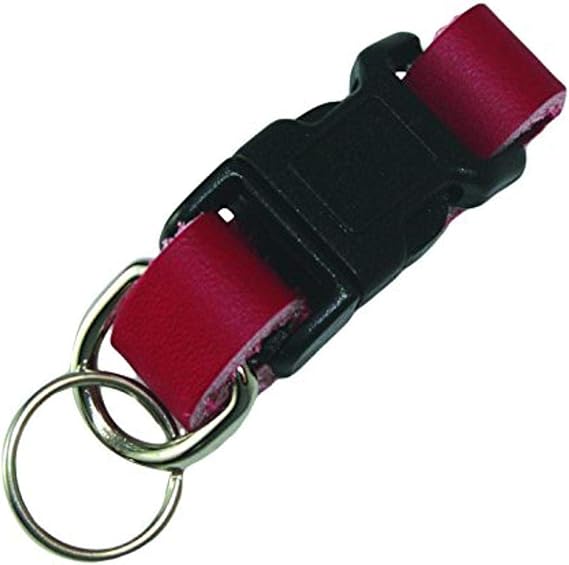 Pet Identification Tag, Red