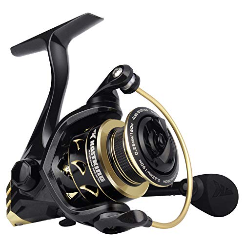 KastKing Valiant Eagle Spinning Reel - 6.2:1 High-Speed Gear Ratio, Freshwater and Saltwater Fishing Reel, Faster Line Retrieve, Braid Ready Spool, 71 Shielded Stainless Steel Ball Bearings