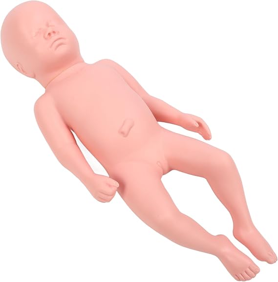 Newborn Model Plastic Educational High Simulation Full Term Baby Simulator Model for Teaching