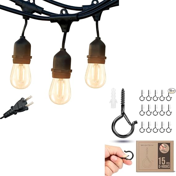 Brightech Bundle: Waterproof LED Outdoor String Lights Hanging, Dimmable 2W Vintage Edison Bulbs - 24 Ft + String Light Screw Hooks - 15 Pack, Black