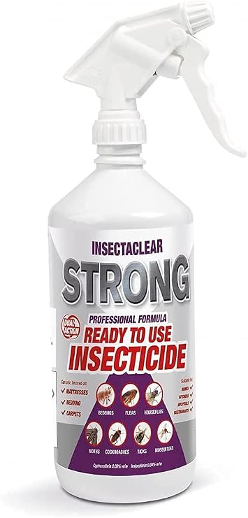 cockroach killing poison Insectaclear Strong Phobi Dose RTU (5 Litres)