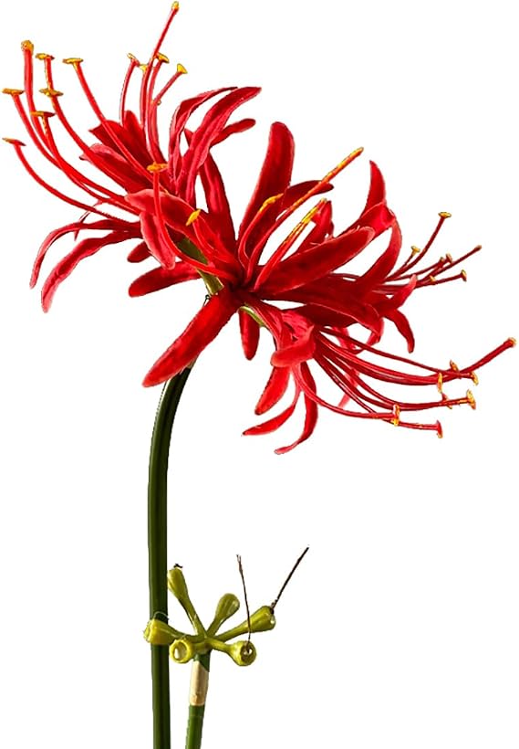 4 Stems 26.38'' Artificial Spider Lily Flowers Lycoris Radiata for Home Garden Decoration Red