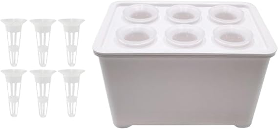 Hydroponics Growing System Kit 6-Holes Seedling Kit | Soilless Cultivation Box for Vegetables Flowers Fruits Indoor Outdoor Garden Greenhouse Farm Backyard Windowsill Balcony