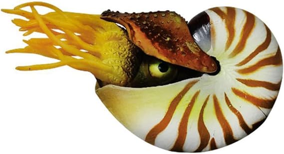 BESPORTBLE Aquarium Ornament Fish Aquarium Decor Fish Tank Seashell Fish Aquarium Decoration Simulation Nautilus