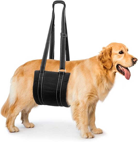 Dog Lift Harness for Hind Leg Support for Medium Dog, Soft Pet Lift Sling for Back Legs, Portable Leg Support Harness for Injured, Elderly, and Disabled Dogs, Mobility Aid, Medium