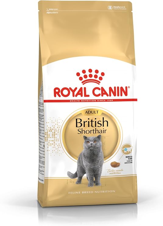 Royal Canin British Shorthair 10 Kg Kedi Maması
