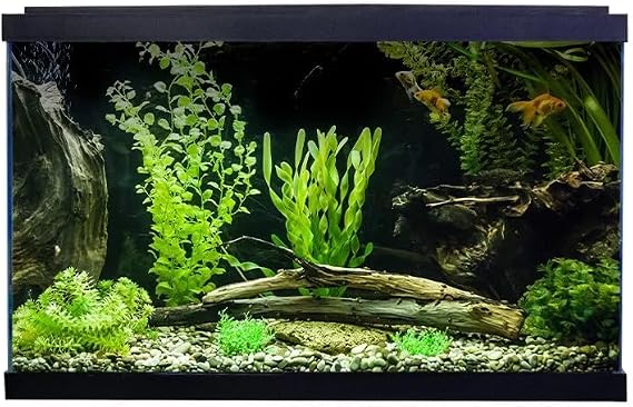 Swell Premium 50cm Tropical Fish Tank, 38L, 50 x 26 x 32cm, LED Lighting, 4-Stage Filtration