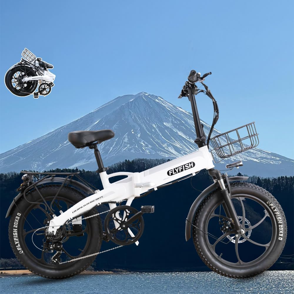 FLYFISH Electric Assisted Bicycle, Foldable, For Public Roads, Electric Folding Bicycle, Folding Assisted Bicycle, No License Required, Fashionable, Folding Bicycle, Electric Fat Bike, 20 Inches,