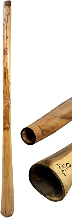 Terre Didgeridoo Eucalyptus Proline incl Bag 59-63in (KeyCis) Heavy 9lbs | Didgeridoo designed for deep drone tones and musical practice; key details: Tone Cis, Eucalyptus.