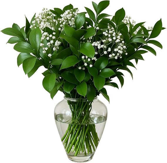 GlobalRose 80 Stems of Mixed Greens - Fresh Flowers Greens Perfect for Wedding