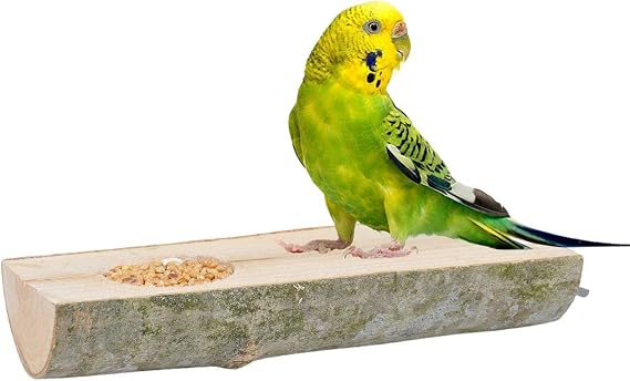 X-Perk Natural Tree Bird Perch And Feed Log Perch