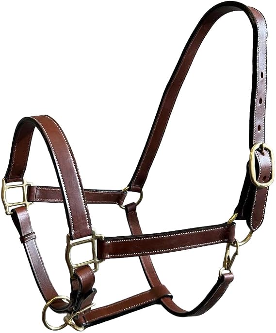 Cob Size Leather Halter with Brass Hardware