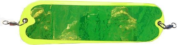 Pro-Troll Fishing Products ProChip 8-Inch Flasher