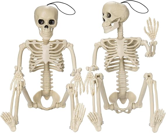 GoClimber 2 Pack Posable Small Halloween Skeleton, 16" Full Body Halloween Skeleton Decor with Movable Joints, Party Indoor Decorations