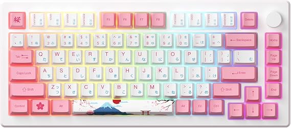 Akko Magnetic Switches Rapid Trigger Gaming Keyboard, MOD007B HE PC World Tour Tokyo Wired/Wireless 75% 8k Polling Rate Mechanical Keyboard with Knob, RGB Backlit (Kailh Sakura Pink Magnetic Switch)