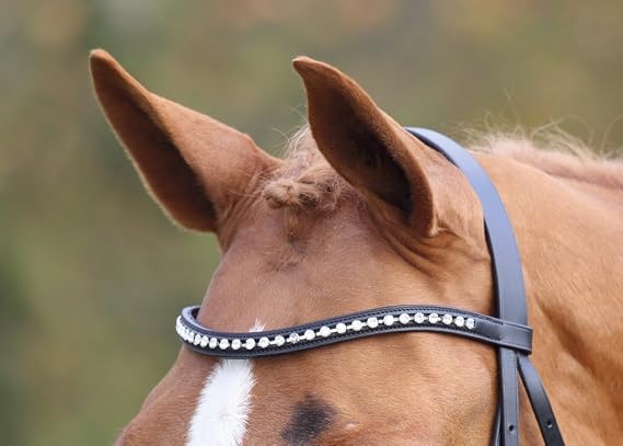 Shires Aviemore Large Diamante Browband