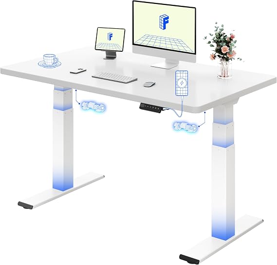 FLEXISPOT Electric Standing Desk BIG MAX 200KG Height Adjustable