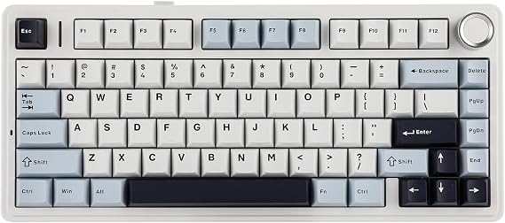 EPOMAKER AULA F75 Wireless Mechanical Gaming Keyboard, 75% Layout with Knob | Creamy Gasekt-Mount with Sound-Dampening, RGB, Hot-Swap, BT/2.4Ghz (Light Blue, Reaper Switch)