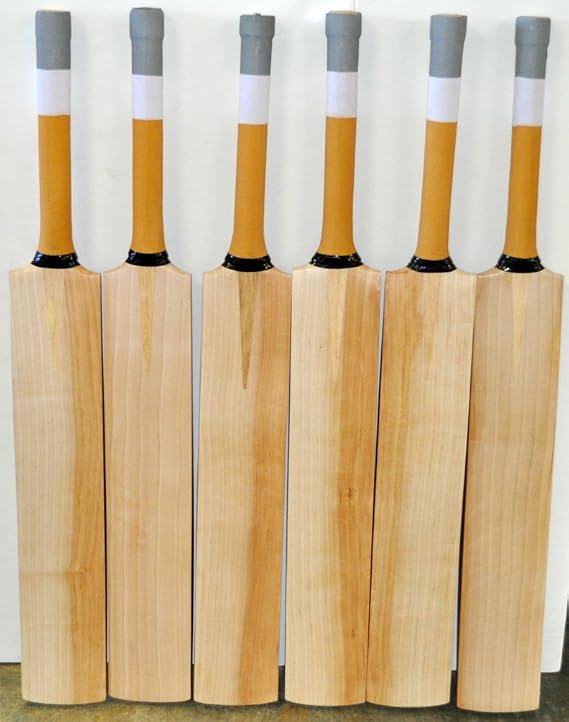 Plain English Willow Cricket Bat