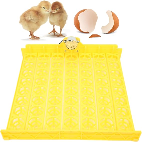 Automatic Egg Turner, 110V Swing Around 45 Degrees to Turn the Egg Tray Egg Hatching Tray 56 Eggs Fully Automatic Incubator(110V)