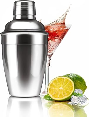 Zrorgons Stainless Steel Cocktail Shaker - Classic Martini Mixer with Built-in Strainer, Perfect for Home Bar or Bartender Gift - Compact and Portable 25oz 750ml Size for Single Martinis