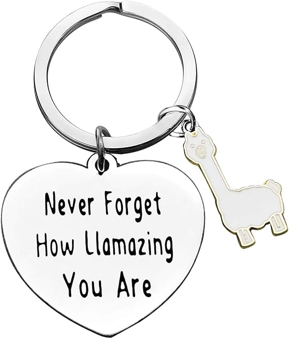 Baipilu Encouragement Llama Jewelry Inspirational Keychains Llama Keyring for Flamingo Lover Women Graduation Birthday Gifts